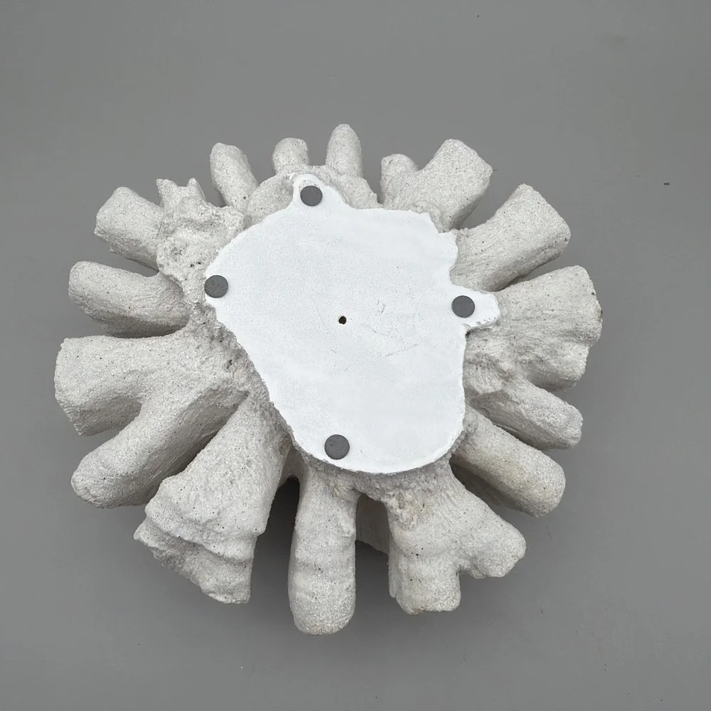 Brain Coral Decor Faux White 9